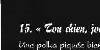    - Page 7 -   